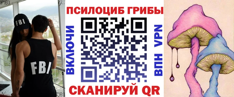 где продают наркотики  Дрезна  Галлюциногенные грибы мухоморы 